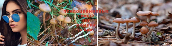 МДМА Кинешма