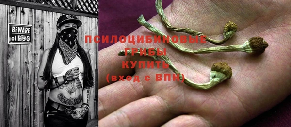 ALPHA PVP Киреевск