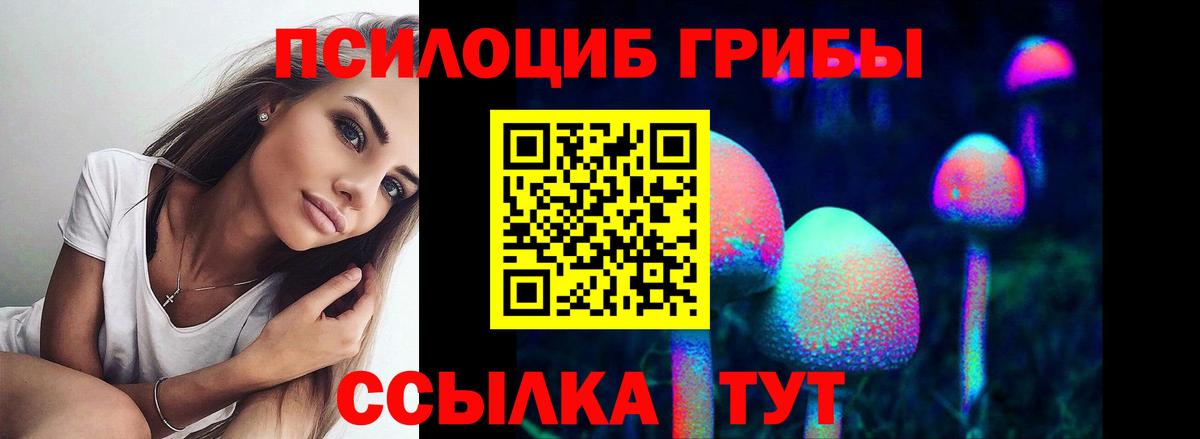 купить наркотики цена  Вход с VPN  Подольск  Псилоцибиновые грибы MAGIC MUSHROOMS  Псилоцибиновые грибы Psilocybe 